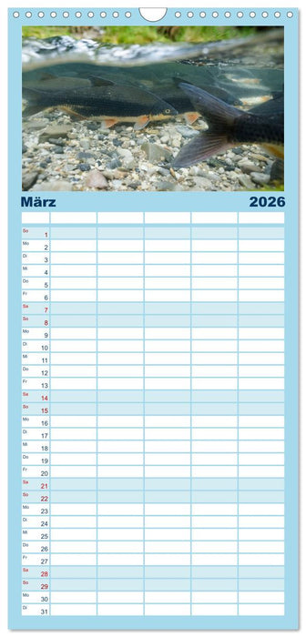 Faszination Fische (CALVENDO Familienplaner 2026)