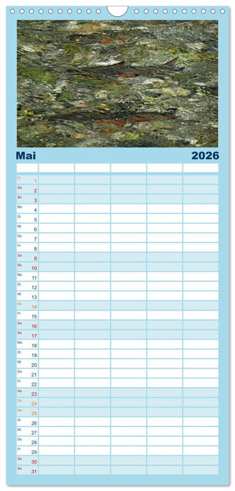 Faszination Fische (CALVENDO Familienplaner 2026)