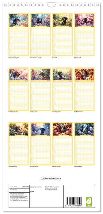 Zauberhafte Dackel (CALVENDO Familienplaner 2026)