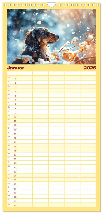 Zauberhafte Dackel (CALVENDO Familienplaner 2026)