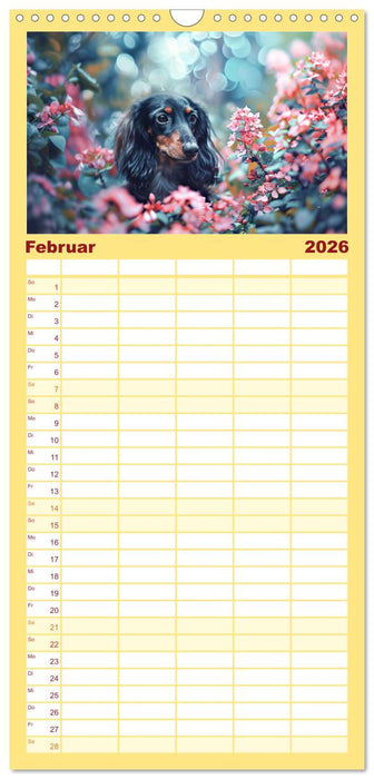 Zauberhafte Dackel (CALVENDO Familienplaner 2026)