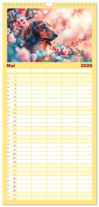 Zauberhafte Dackel (CALVENDO Familienplaner 2026)