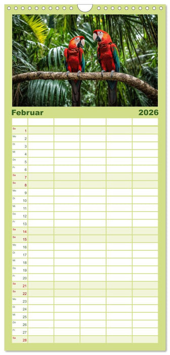 Typisch Brasilien (CALVENDO Familienplaner 2026)