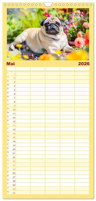 Mops-Mania - Der Spaßkalender für Mops-Fans (CALVENDO Familienplaner 2026)