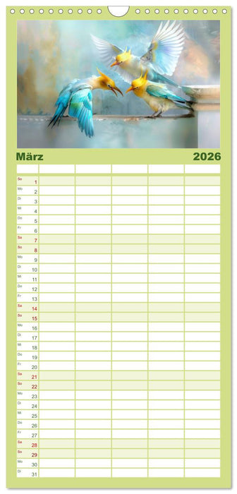 Farbenfrohe Fantasievögel (CALVENDO Familienplaner 2026)