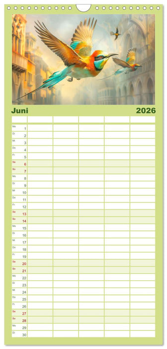 Farbenfrohe Fantasievögel (CALVENDO Familienplaner 2026)