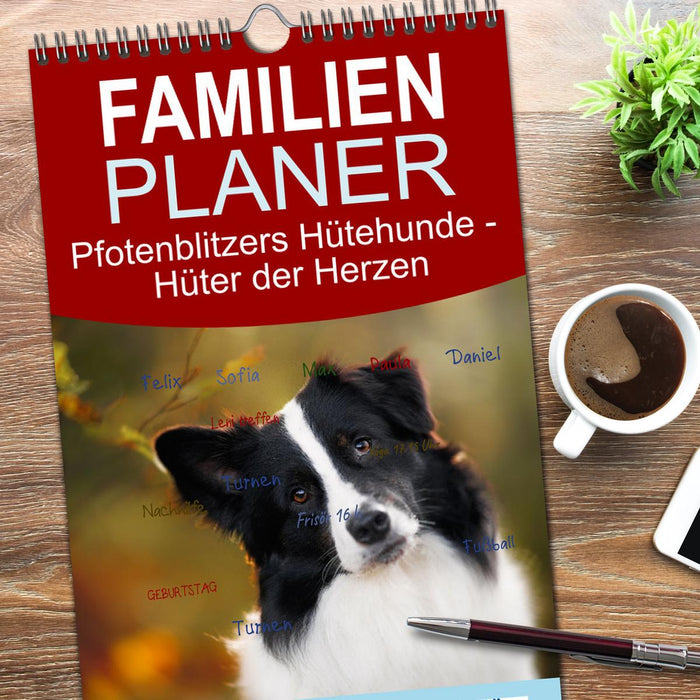 Pfotenblitzers Hütehunde - Hüter der Herzen (CALVENDO Familienplaner 2026)