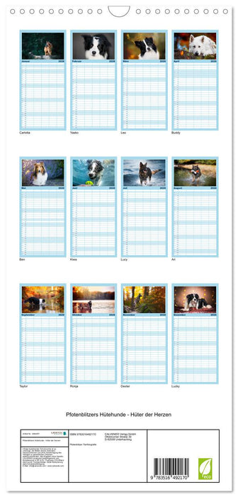 Hütehunde - Hüter der Herzen (CALVENDO Familienplaner 2026)