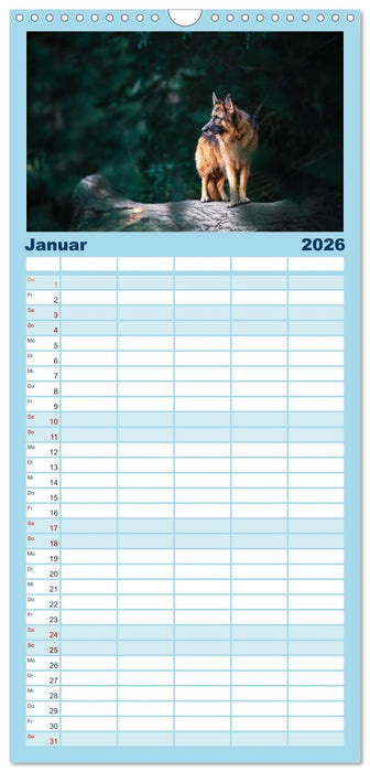 Hütehunde - Hüter der Herzen (CALVENDO Familienplaner 2026)