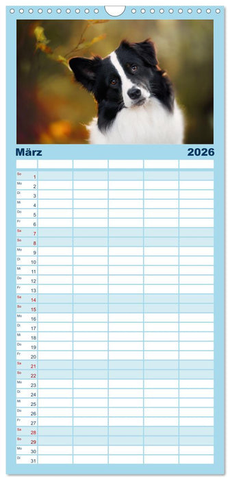 Hütehunde - Hüter der Herzen (CALVENDO Familienplaner 2026)