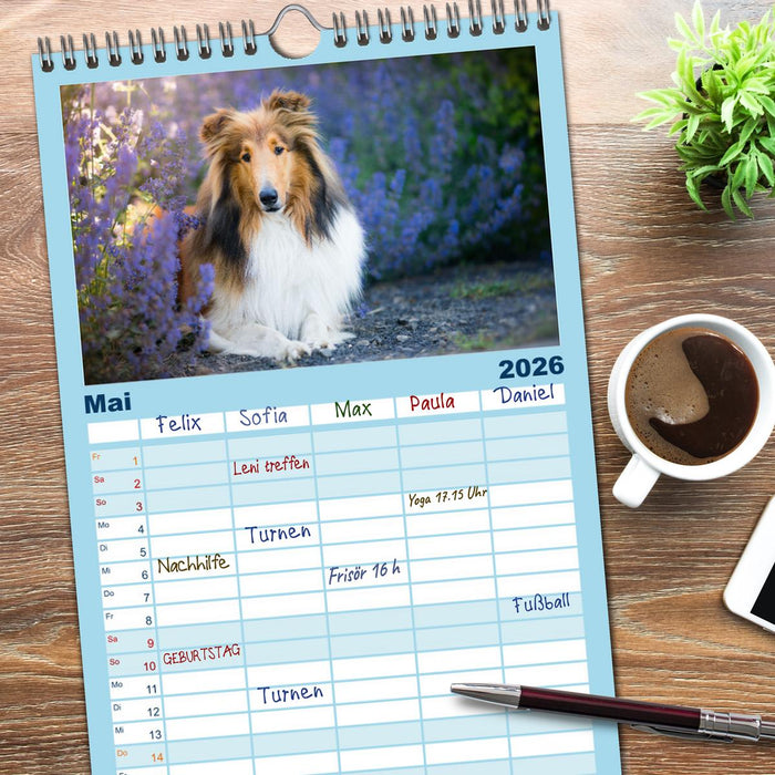 Hütehunde - Hüter der Herzen (CALVENDO Familienplaner 2026)