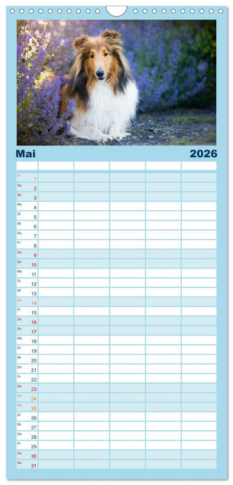 Hütehunde - Hüter der Herzen (CALVENDO Familienplaner 2026)