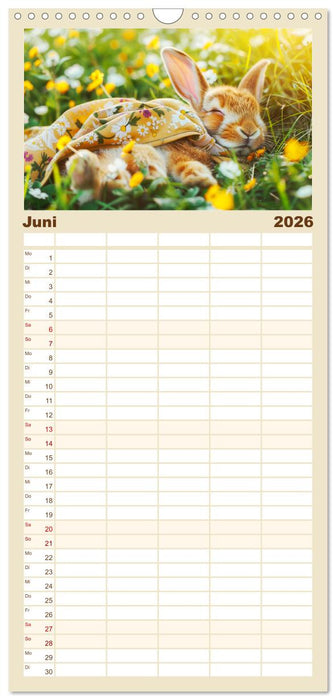 Kaninchen auf modischer Mission (CALVENDO Familienplaner 2026)