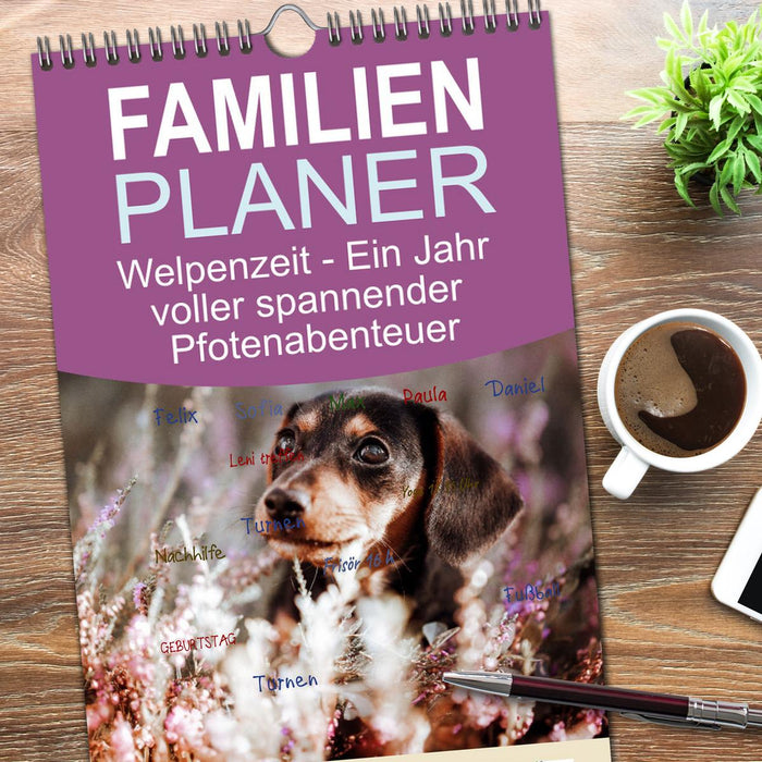 Welpenzeit - Ein Jahr voller spannender Pfotenabenteuer (CALVENDO Familienplaner 2026)