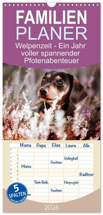Welpenzeit - Ein Jahr voller spannender Pfotenabenteuer (CALVENDO Familienplaner 2026)