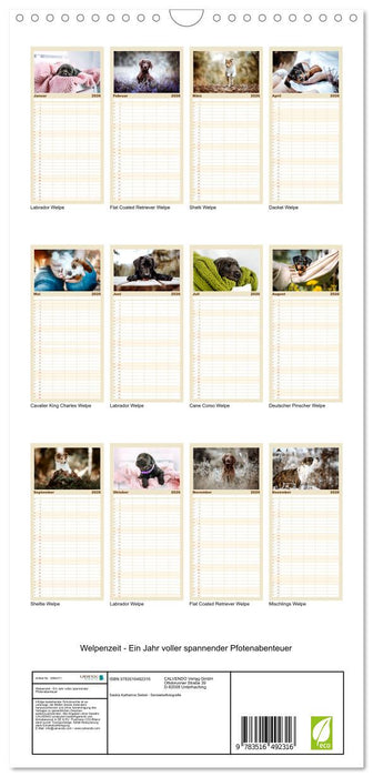 Welpenzeit - Ein Jahr voller spannender Pfotenabenteuer (CALVENDO Familienplaner 2026)