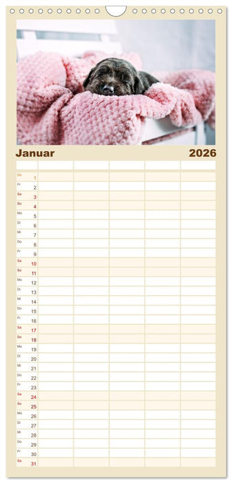 Welpenzeit - Ein Jahr voller spannender Pfotenabenteuer (CALVENDO Familienplaner 2026)