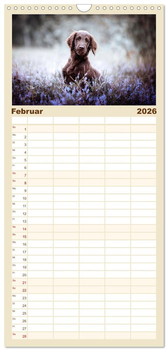 Welpenzeit - Ein Jahr voller spannender Pfotenabenteuer (CALVENDO Familienplaner 2026)