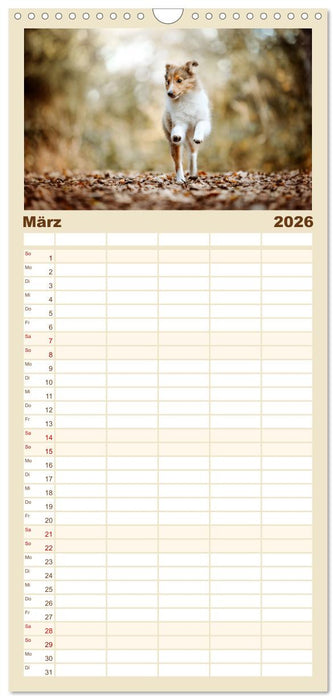 Welpenzeit - Ein Jahr voller spannender Pfotenabenteuer (CALVENDO Familienplaner 2026)