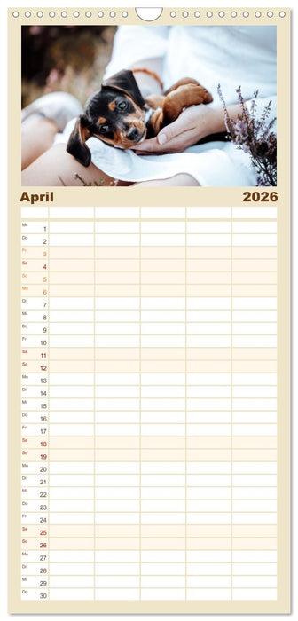 Welpenzeit - Ein Jahr voller spannender Pfotenabenteuer (CALVENDO Familienplaner 2026)