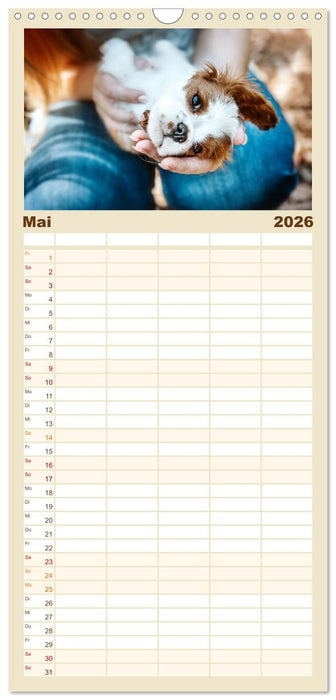 Welpenzeit - Ein Jahr voller spannender Pfotenabenteuer (CALVENDO Familienplaner 2026)