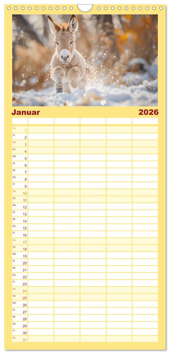 Lustige Eselgeschichten (CALVENDO Familienplaner 2026)