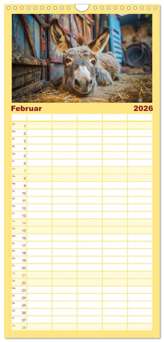 Lustige Eselgeschichten (CALVENDO Familienplaner 2026)