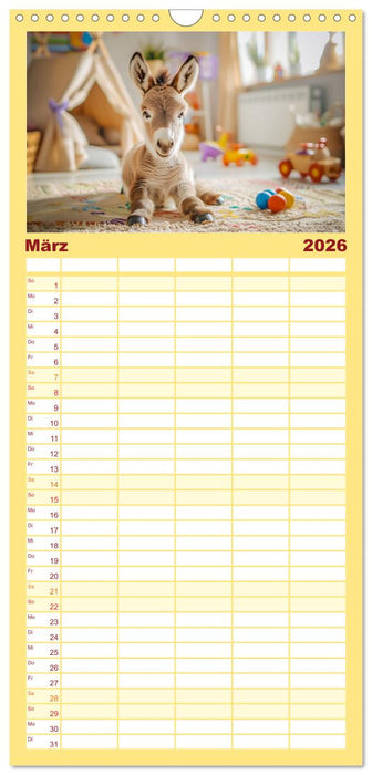 Lustige Eselgeschichten (CALVENDO Familienplaner 2026)