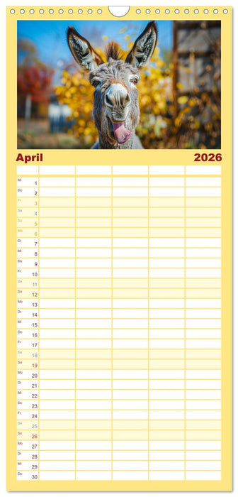 Lustige Eselgeschichten (CALVENDO Familienplaner 2026)