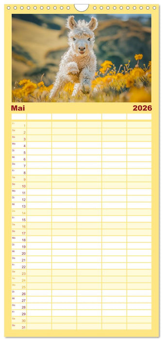 Lustige Eselgeschichten (CALVENDO Familienplaner 2026)