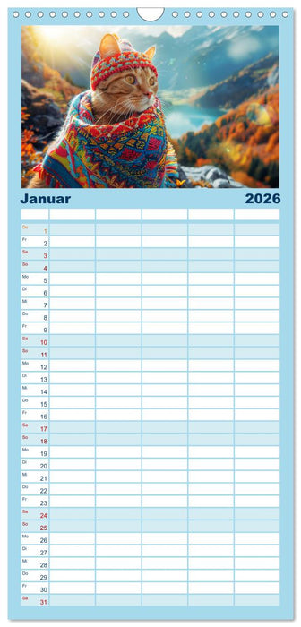 Katzen-Divas beim alpinen Fotoshoot. Extravagante Katzenmode (CALVENDO Familienplaner 2026)