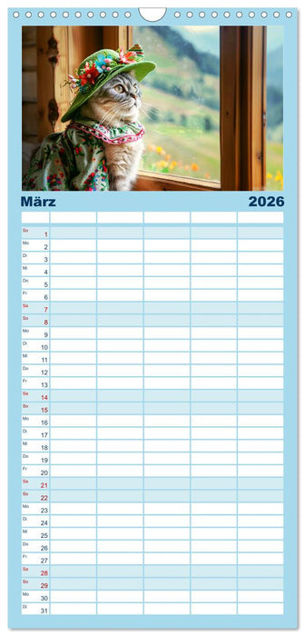 Katzen-Divas beim alpinen Fotoshoot. Extravagante Katzenmode (CALVENDO Familienplaner 2026)
