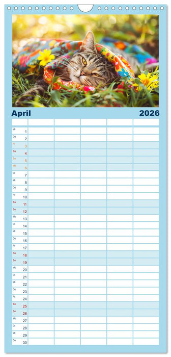 Katzen-Divas beim alpinen Fotoshoot. Extravagante Katzenmode (CALVENDO Familienplaner 2026)