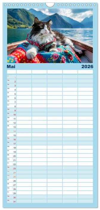 Katzen-Divas beim alpinen Fotoshoot. Extravagante Katzenmode (CALVENDO Familienplaner 2026)