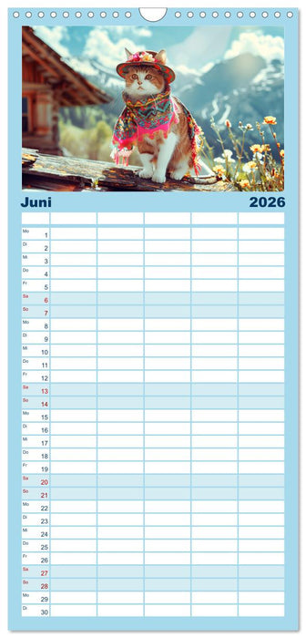 Katzen-Divas beim alpinen Fotoshoot. Extravagante Katzenmode (CALVENDO Familienplaner 2026)