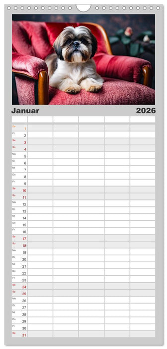 Shih Tzu - der wuschelige Hund aus Tibet (CALVENDO Familienplaner 2026)