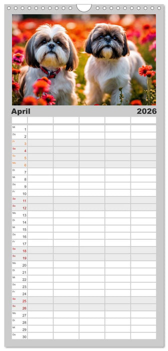 Shih Tzu - der wuschelige Hund aus Tibet (CALVENDO Familienplaner 2026)