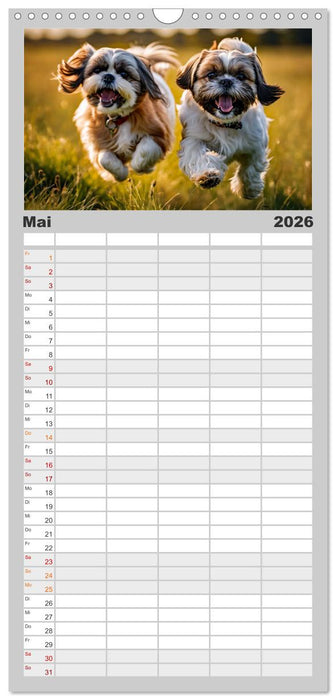 Shih Tzu - der wuschelige Hund aus Tibet (CALVENDO Familienplaner 2026)