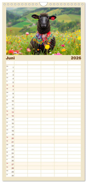 Bunter Schafschick. Flauschige Trendsetter zum verlieben (CALVENDO Familienplaner 2026)