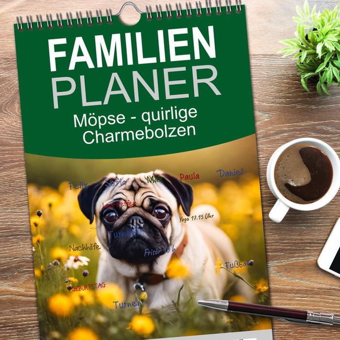 Möpse - quirlige Charmebolzen (CALVENDO Familienplaner 2026)