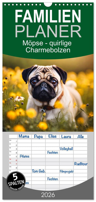 Möpse - quirlige Charmebolzen (CALVENDO Familienplaner 2026)