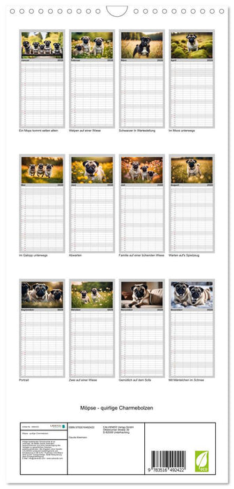 Möpse - quirlige Charmebolzen (CALVENDO Familienplaner 2026)