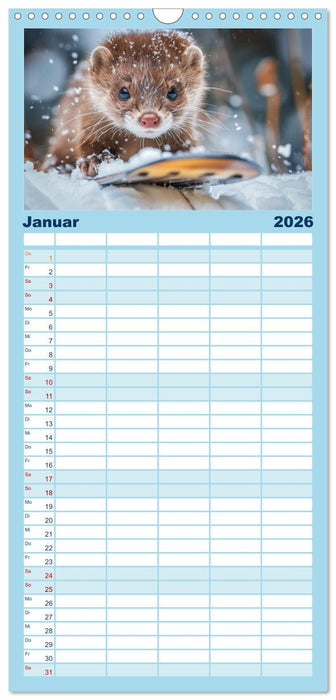 Kleine freche Nerze (CALVENDO Familienplaner 2026)