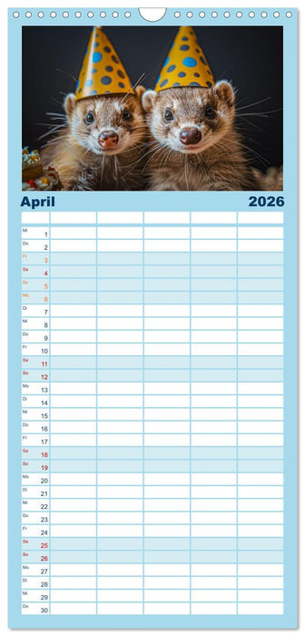 Kleine freche Nerze (CALVENDO Familienplaner 2026)