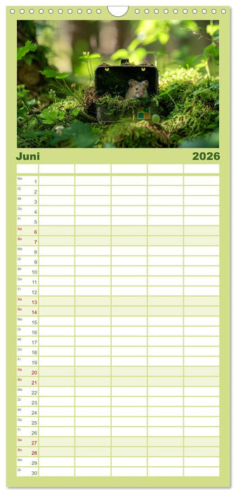 Der Geocaching Found it Kalender (CALVENDO Familienplaner 2026)