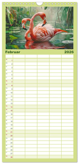Ein Herz für Flamingos (CALVENDO Familienplaner 2026)