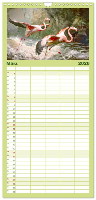Ein Herz für Flamingos (CALVENDO Familienplaner 2026)