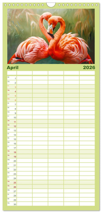 Ein Herz für Flamingos (CALVENDO Familienplaner 2026)