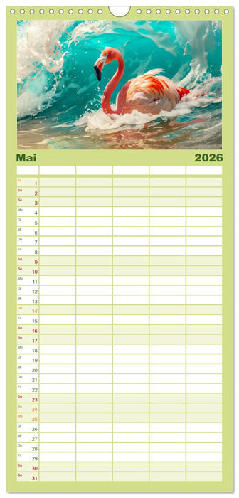 Ein Herz für Flamingos (CALVENDO Familienplaner 2026)
