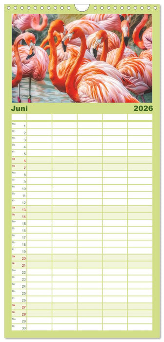 Ein Herz für Flamingos (CALVENDO Familienplaner 2026)